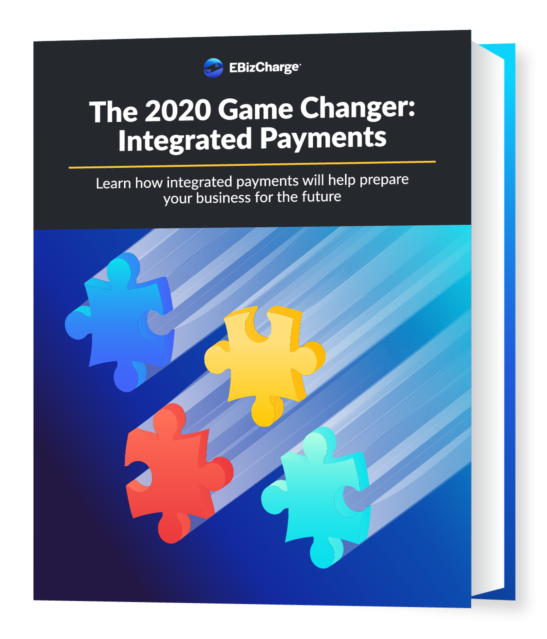 2020 game changer integrated payments ebook cover