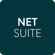 payment processing for netsuite payment processing for netsuite