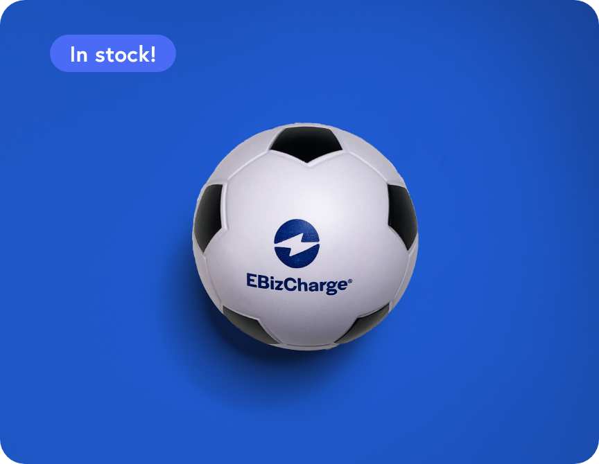 EBizCharge Soccer Ball