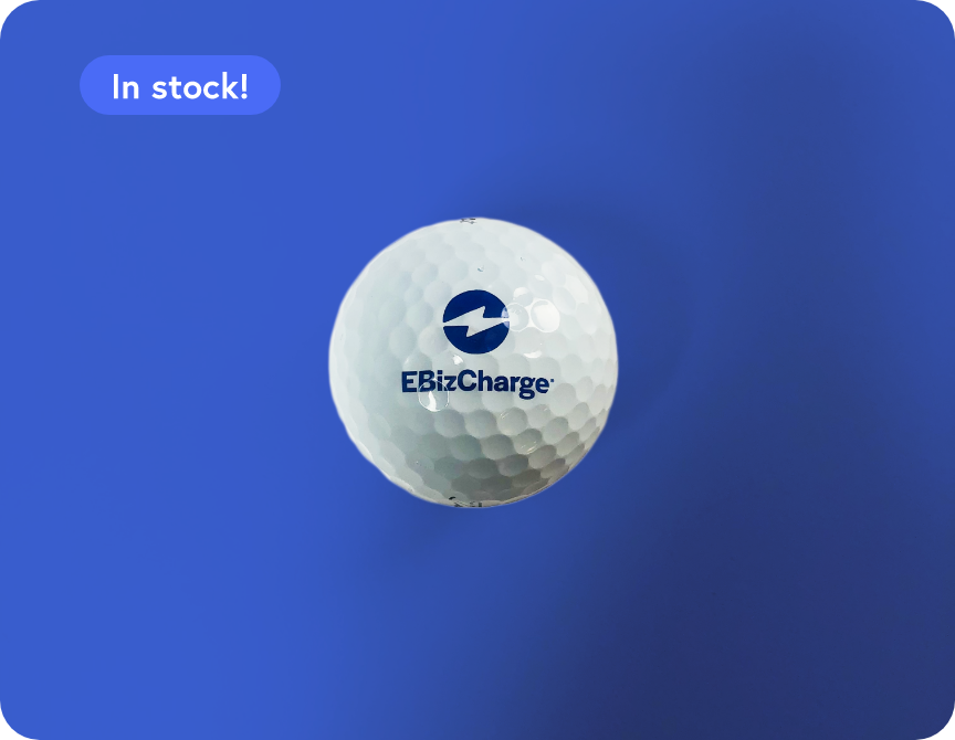 EBizCharge Golf Balls