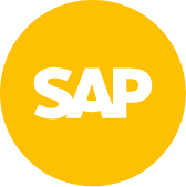 SAP Business One payment integration