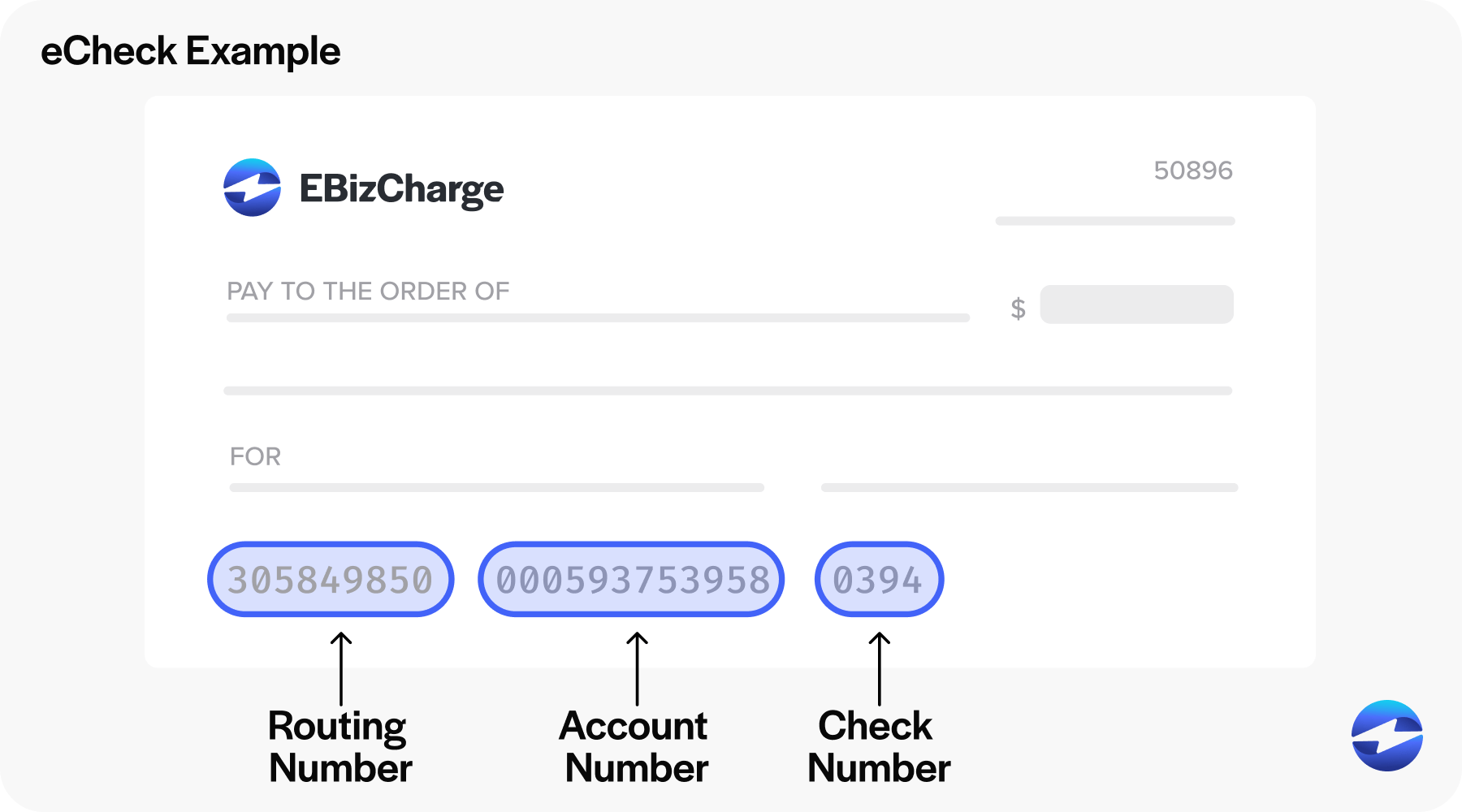 what does an echeck look like