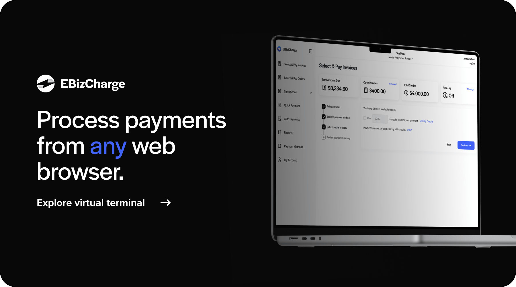 Process Payments from any web browser