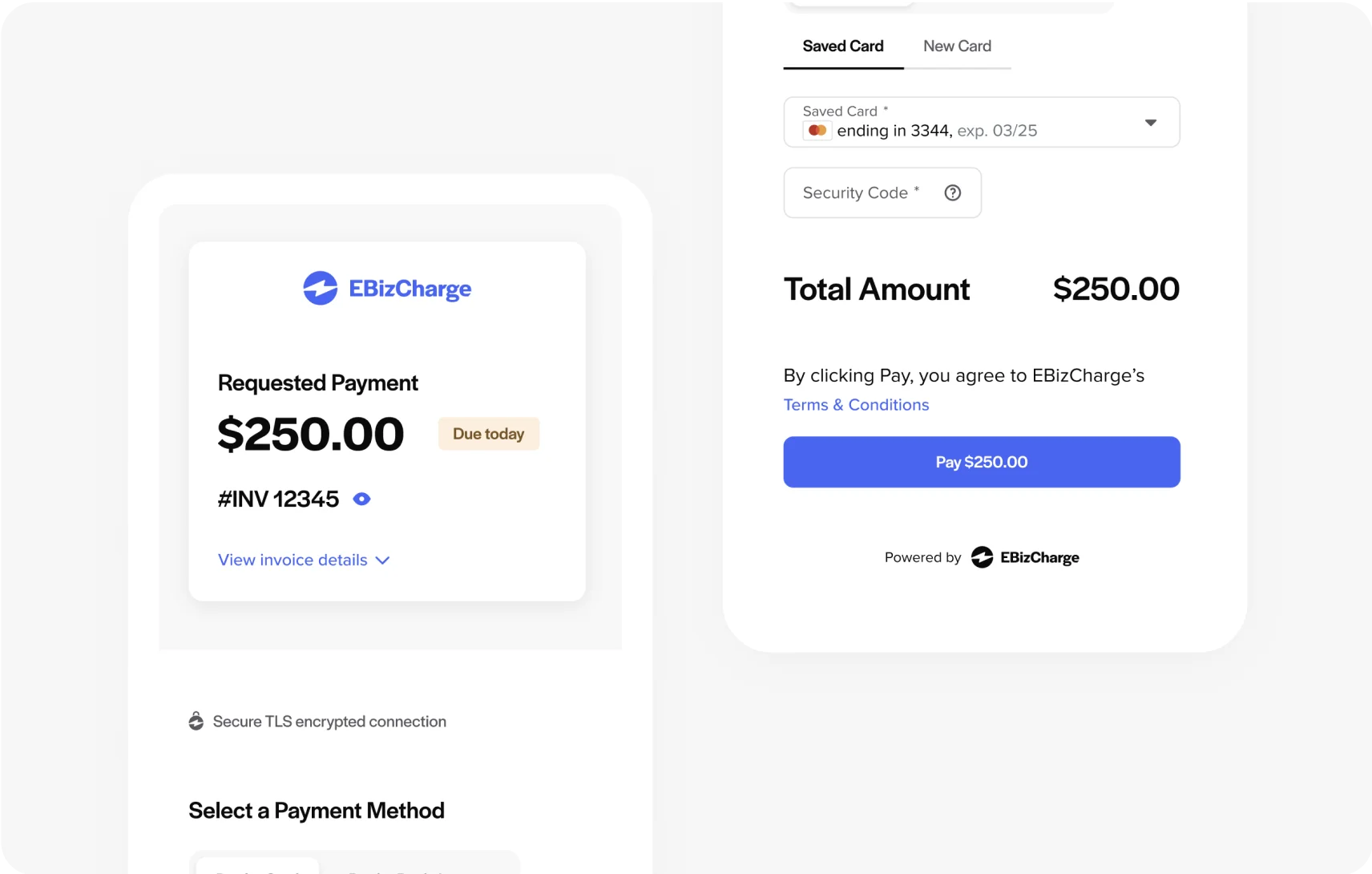 Send invoices and get paid