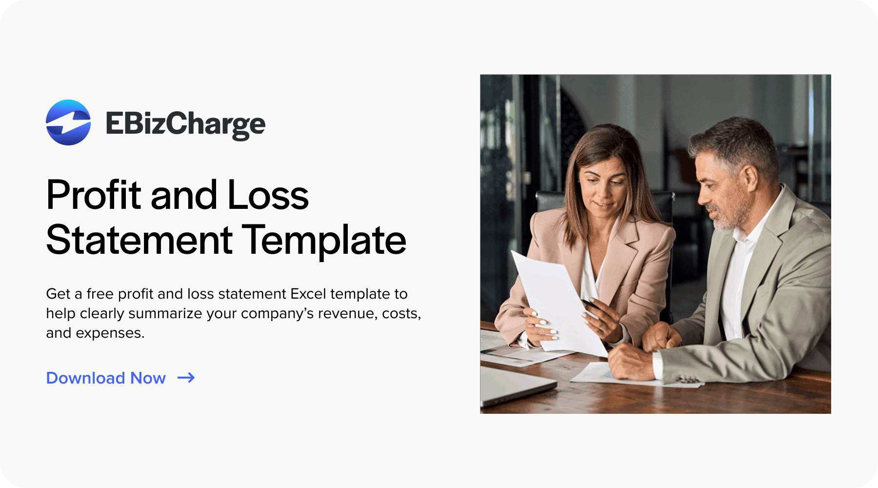 profit and loss template download