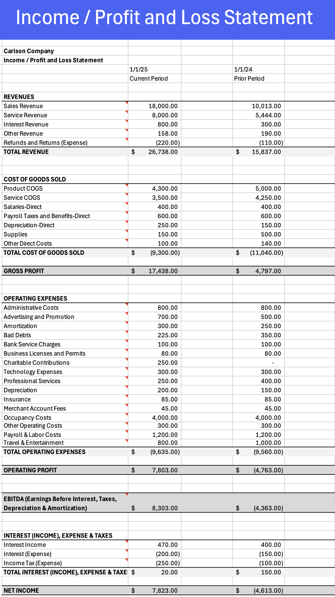 profit and loss statement example