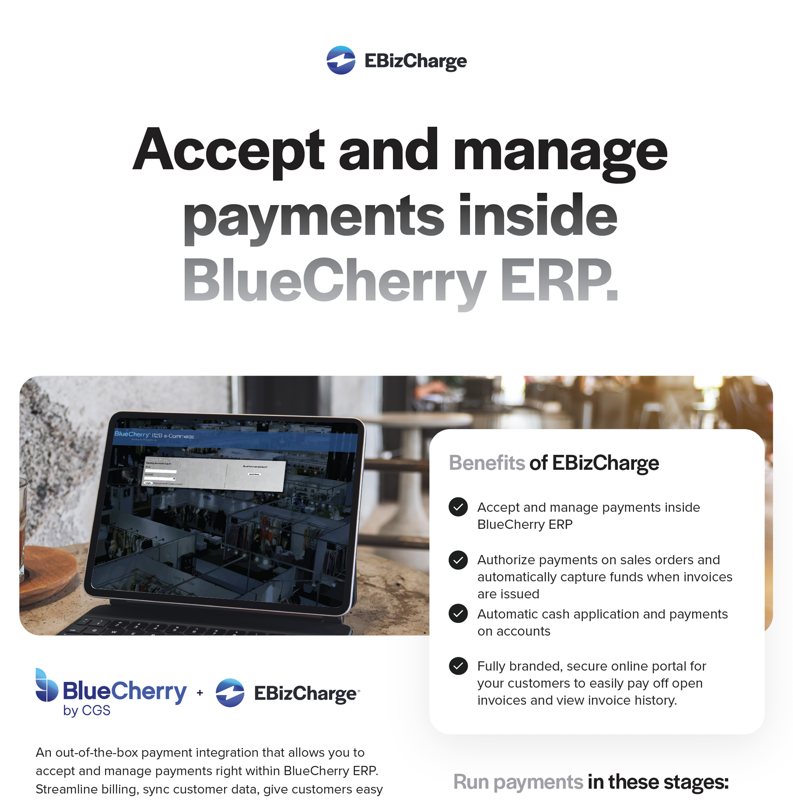 BlueCherry Fact Sheet preview