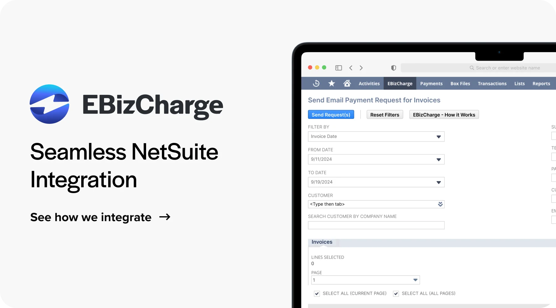 netsuite certified payment portal