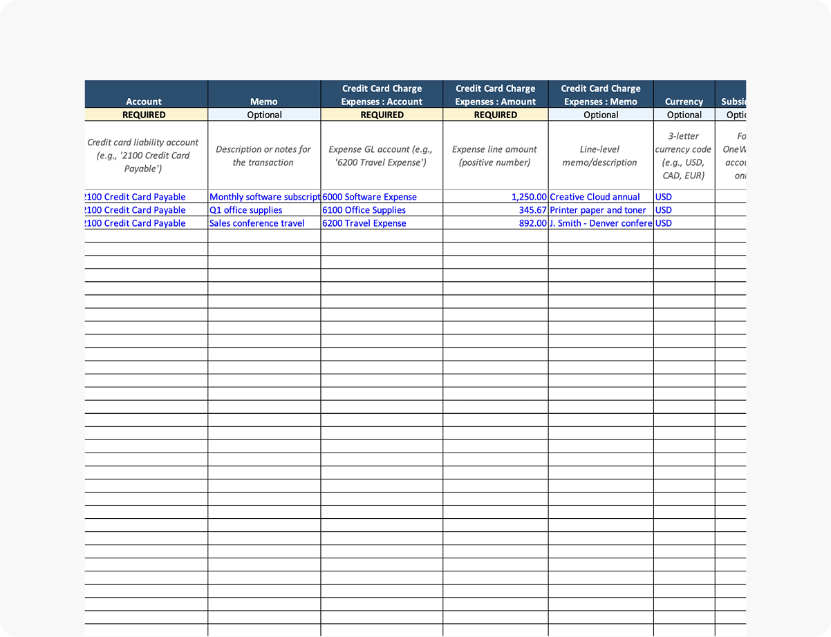 NetSuite Credit Card Import Template preview