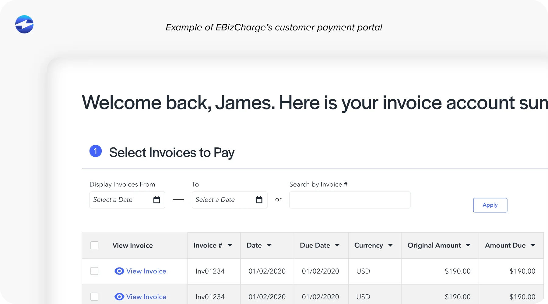 Example of EBizCharge’s customer payment portal