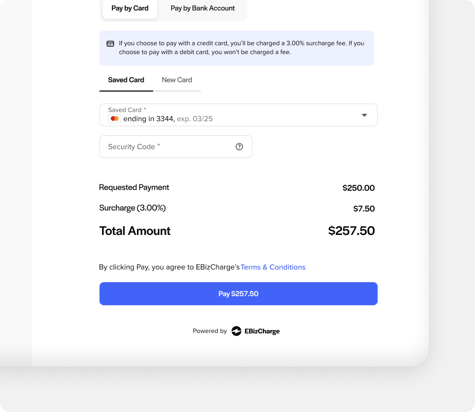 NetSuite connected payment portal