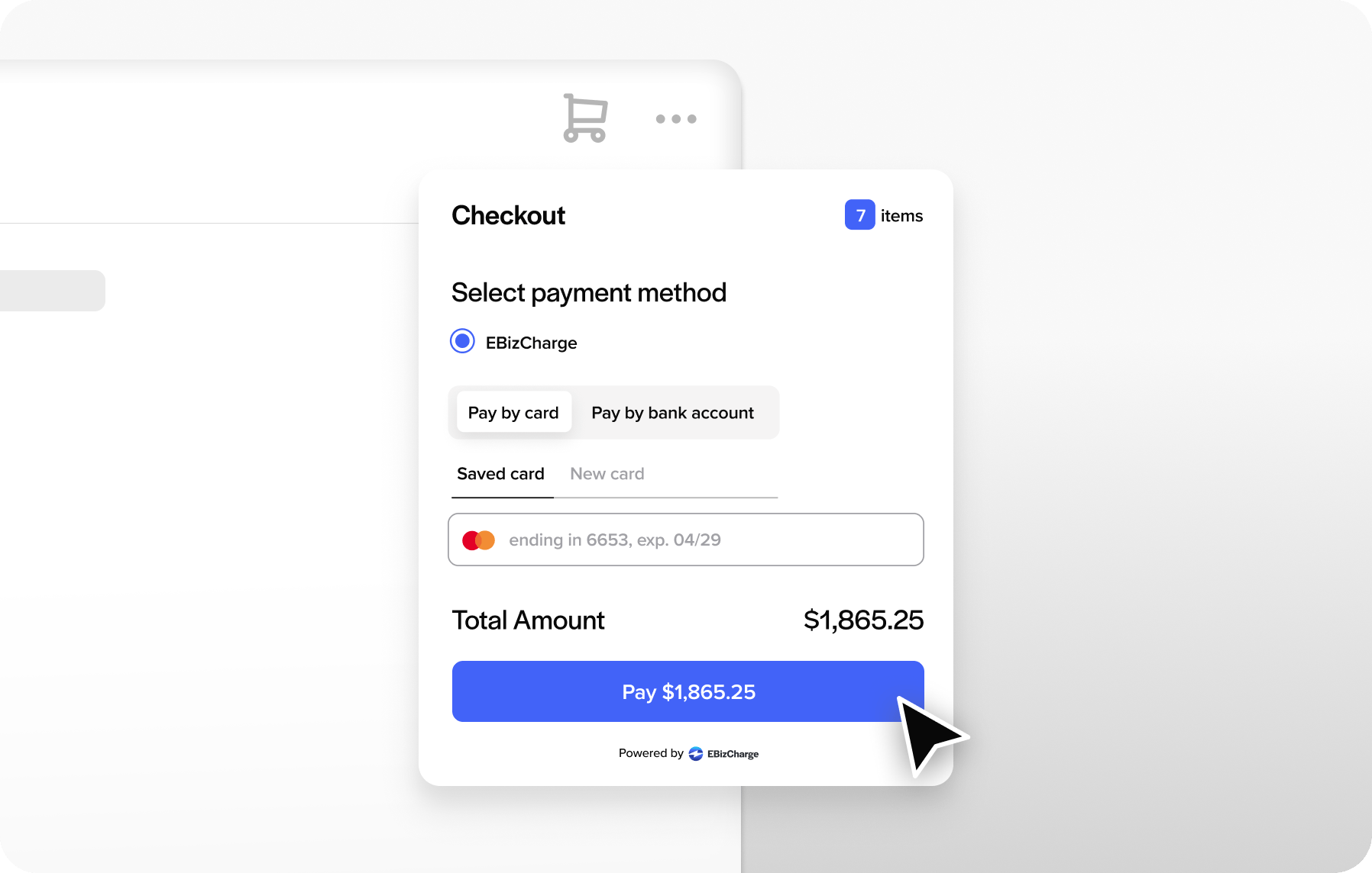 Sana Commerce Payment Processing