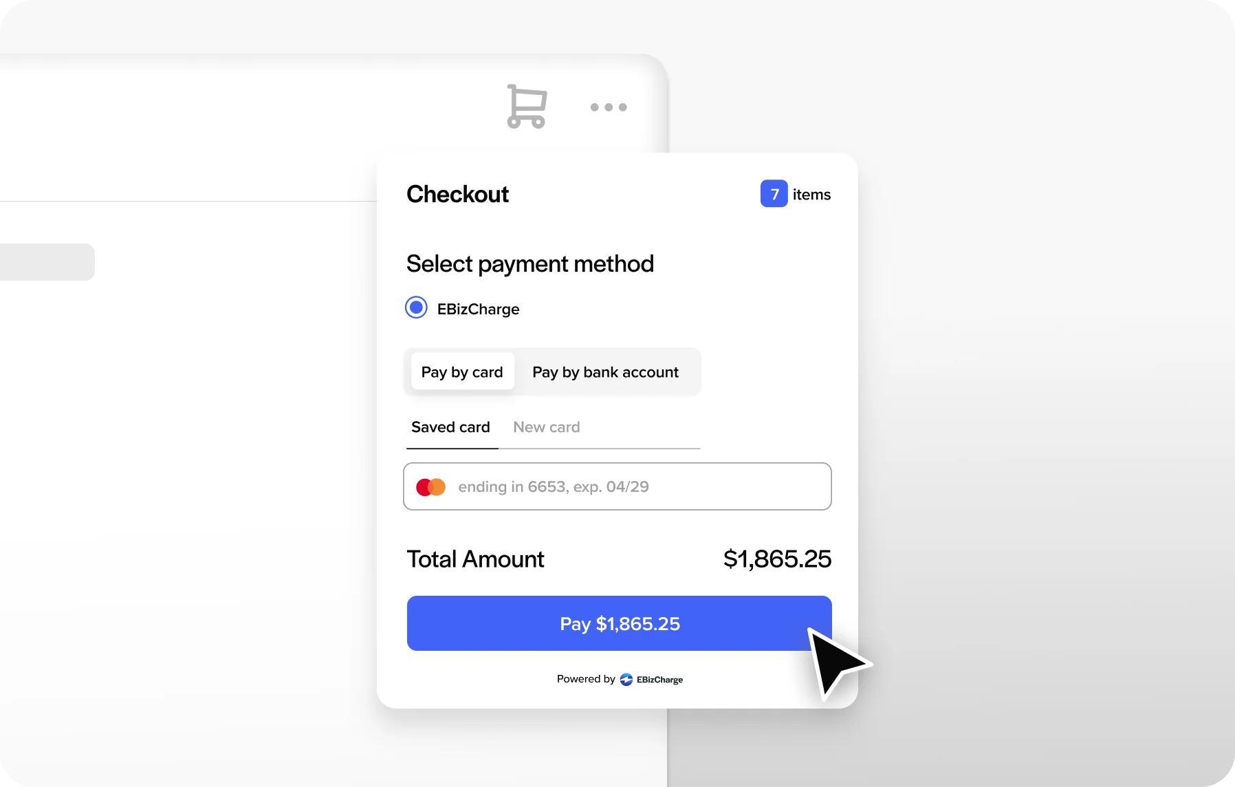 Sana Commerce Payment Processing