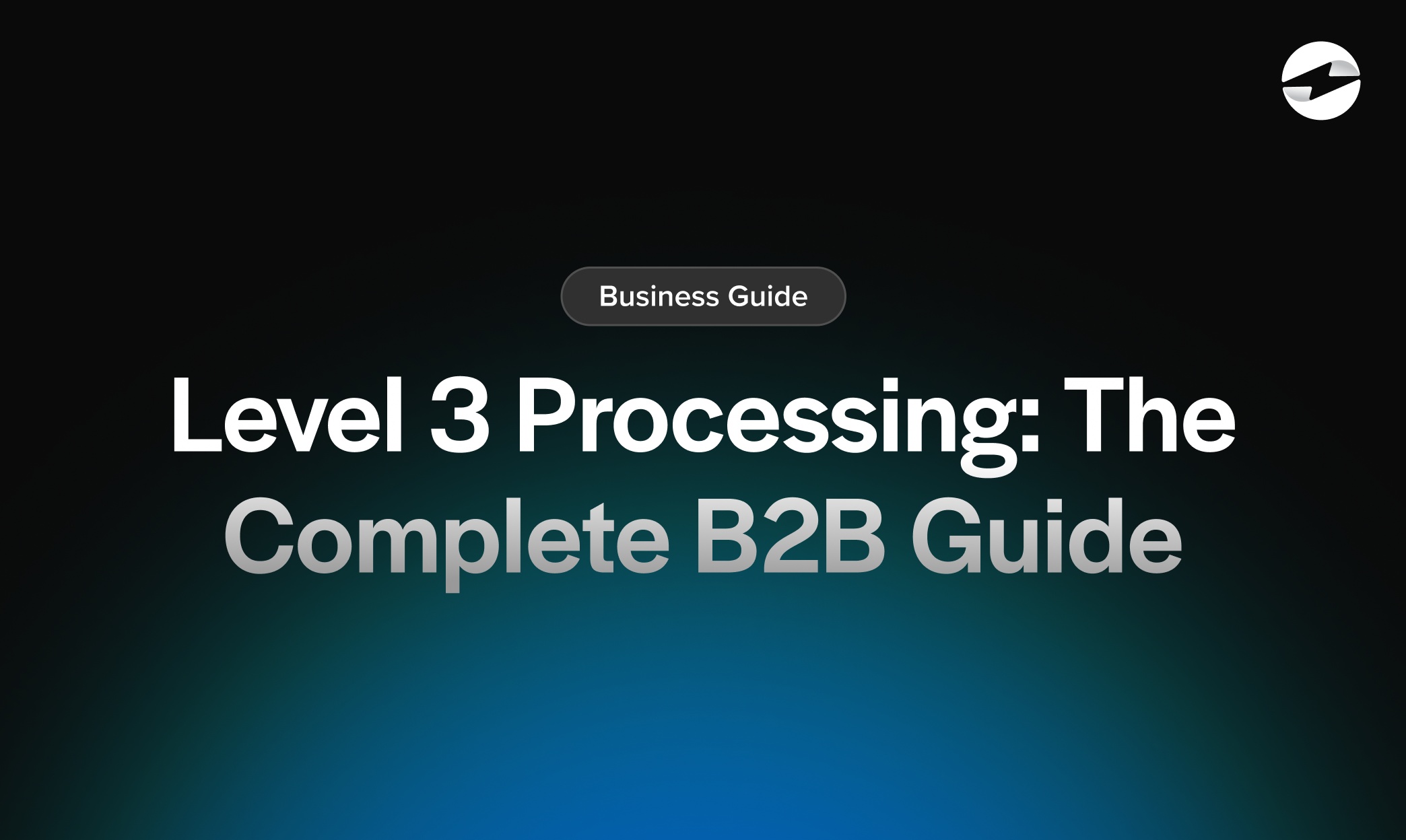 Level 3 Processing- The Complete B2B Guide