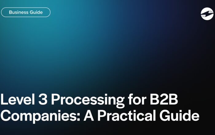 Level 3 Processing for B2B Companies- A Practical Guide