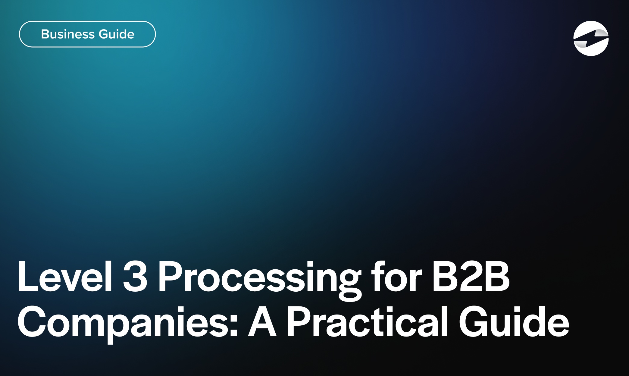Level 3 Processing for B2B Companies- A Practical Guide