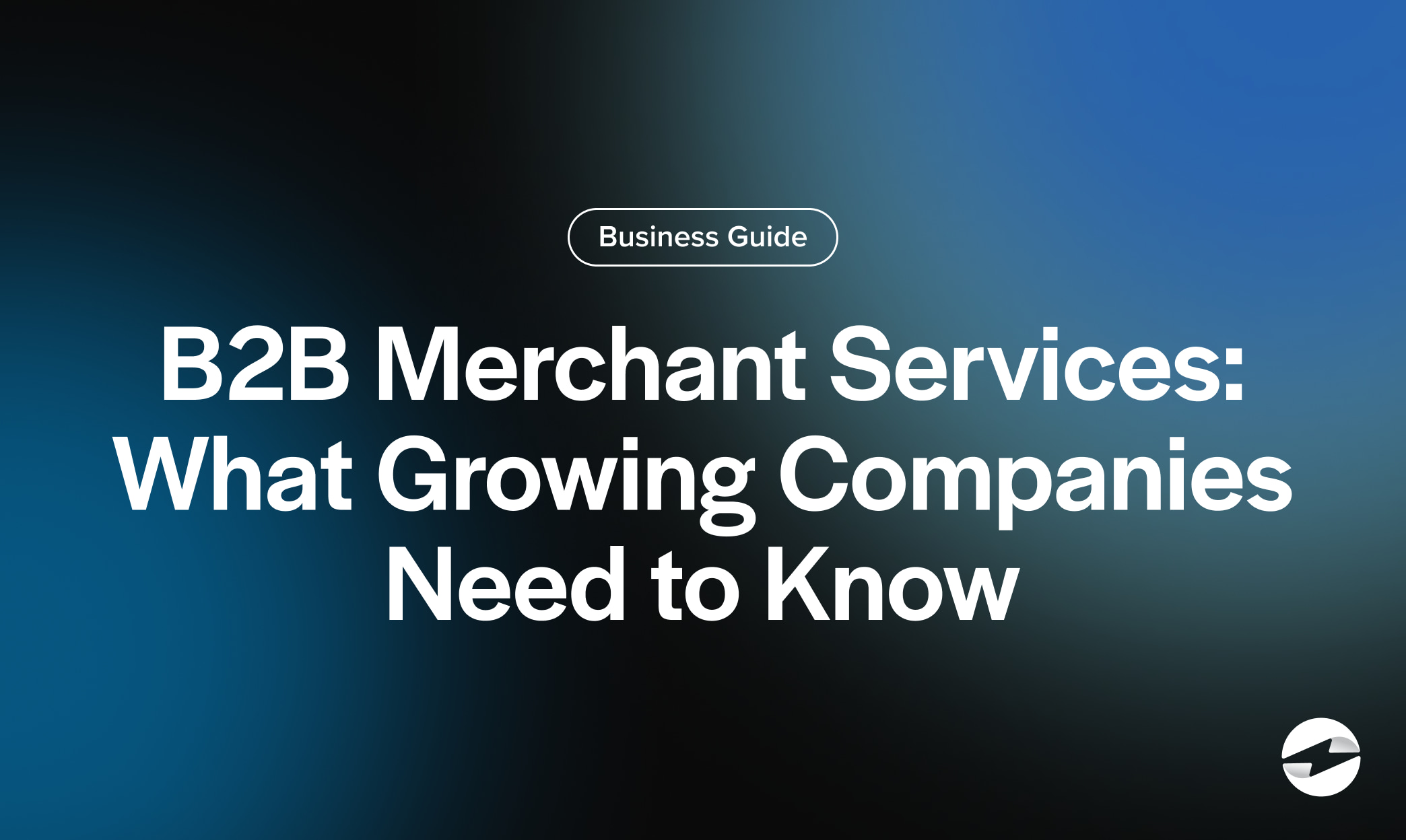 B2B Merchant Services- What Growing Companies Need to Know