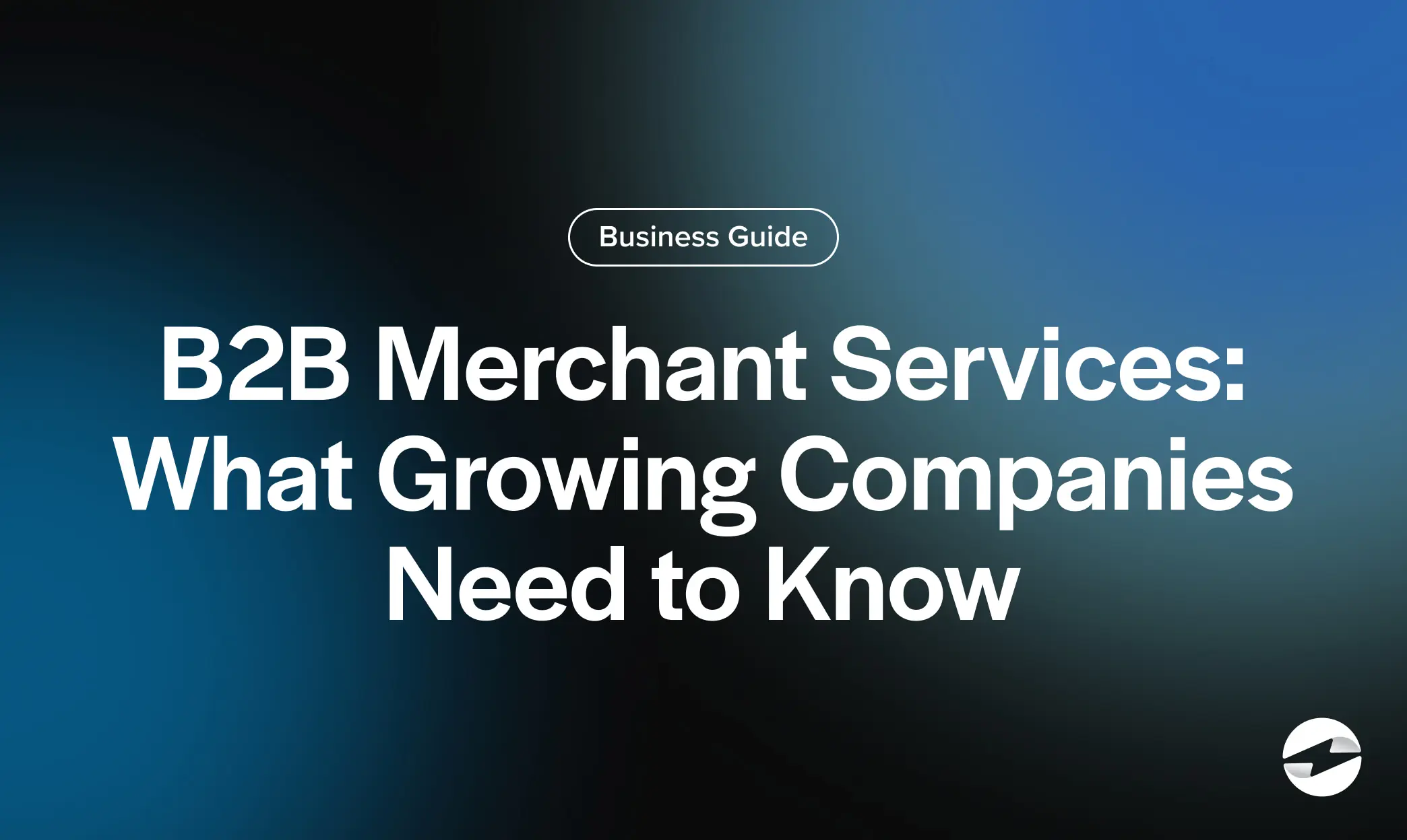 B2B Merchant Services- What Growing Companies Need to Know