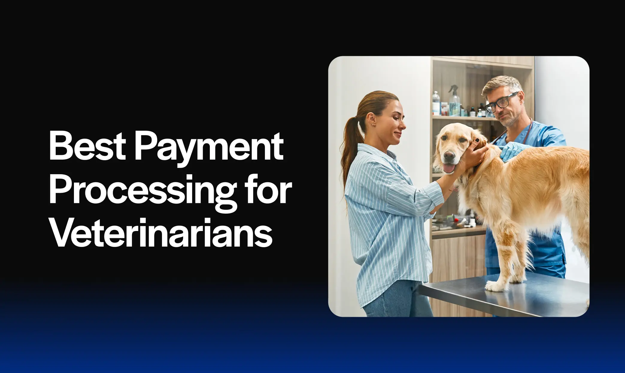 Best Payment Processing for Veterinarians