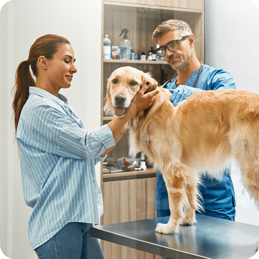 veterinary merchant services