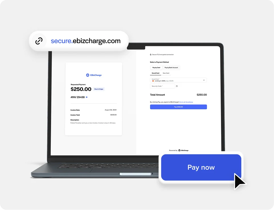 Pay Now button on the invoice itself