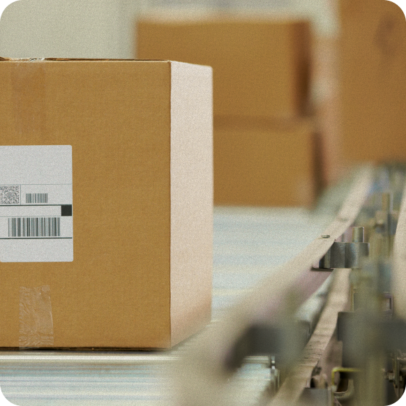 Wholesale Payment Processing